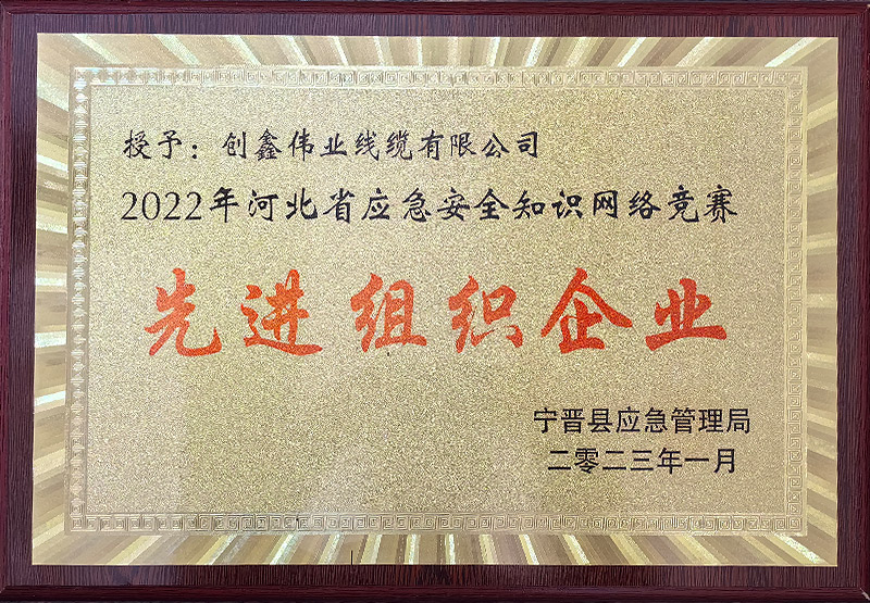先进组织企业