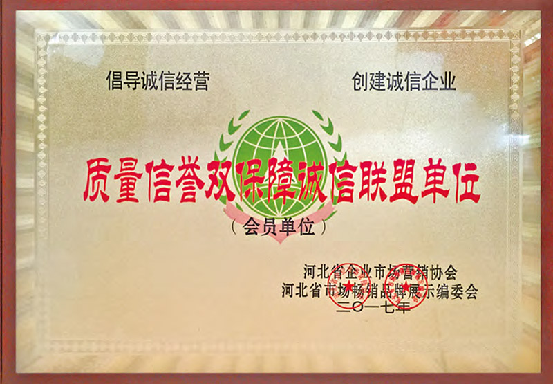 Integrity Alliance Unit